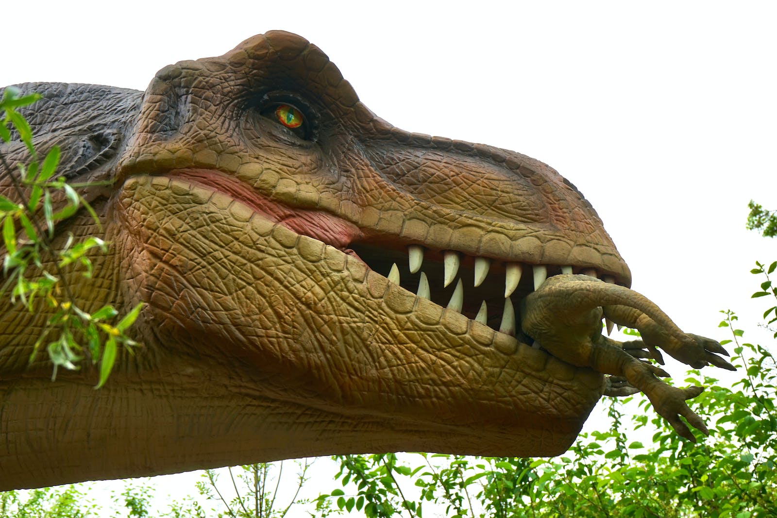 For what reason Did a Dinosaur Have 500 Teeth? Nigersaurus Meme Made sense of
